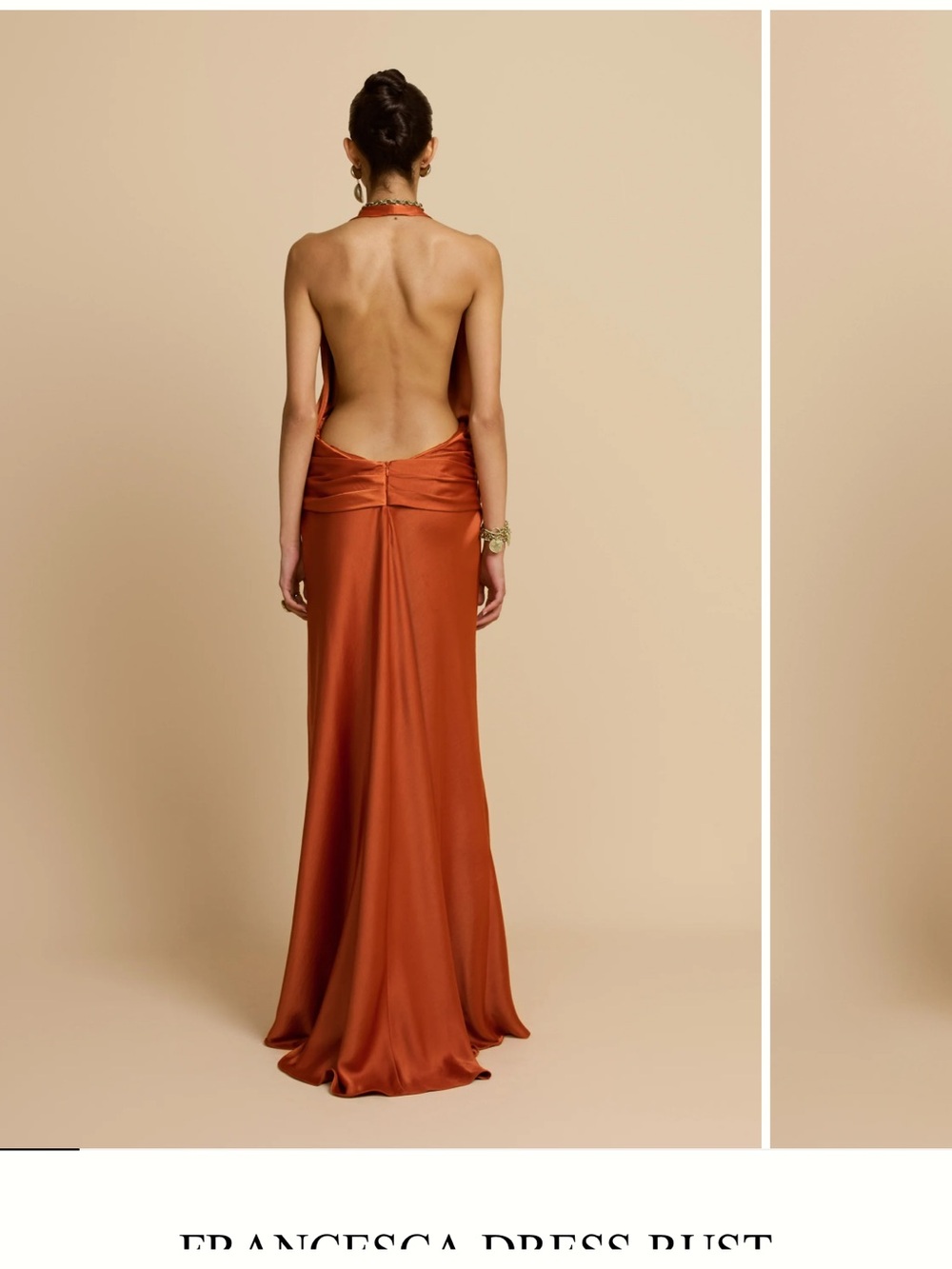 FRANCESCA DRESS RUST - Picture 3 of 6